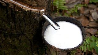 How The Rubber Industry  Is Evolving